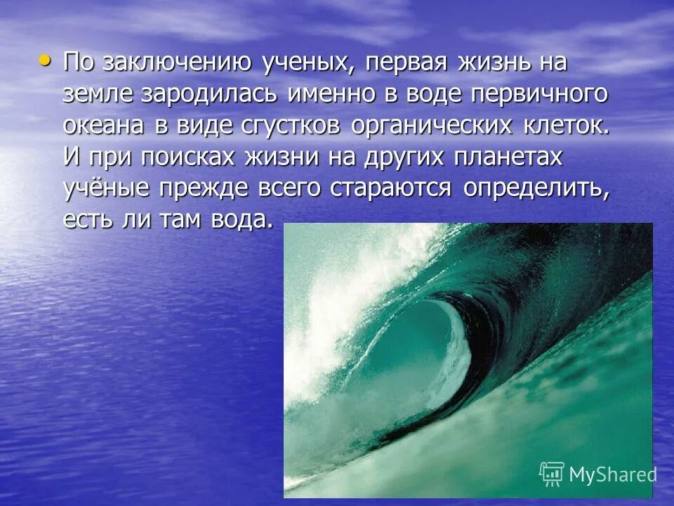 Почему возникли океаны. Жизнь на земле зародилась. Жизнь зародилась в воде. Вода на земле. Жизнь зародилась на земле в Водах первичного океана.