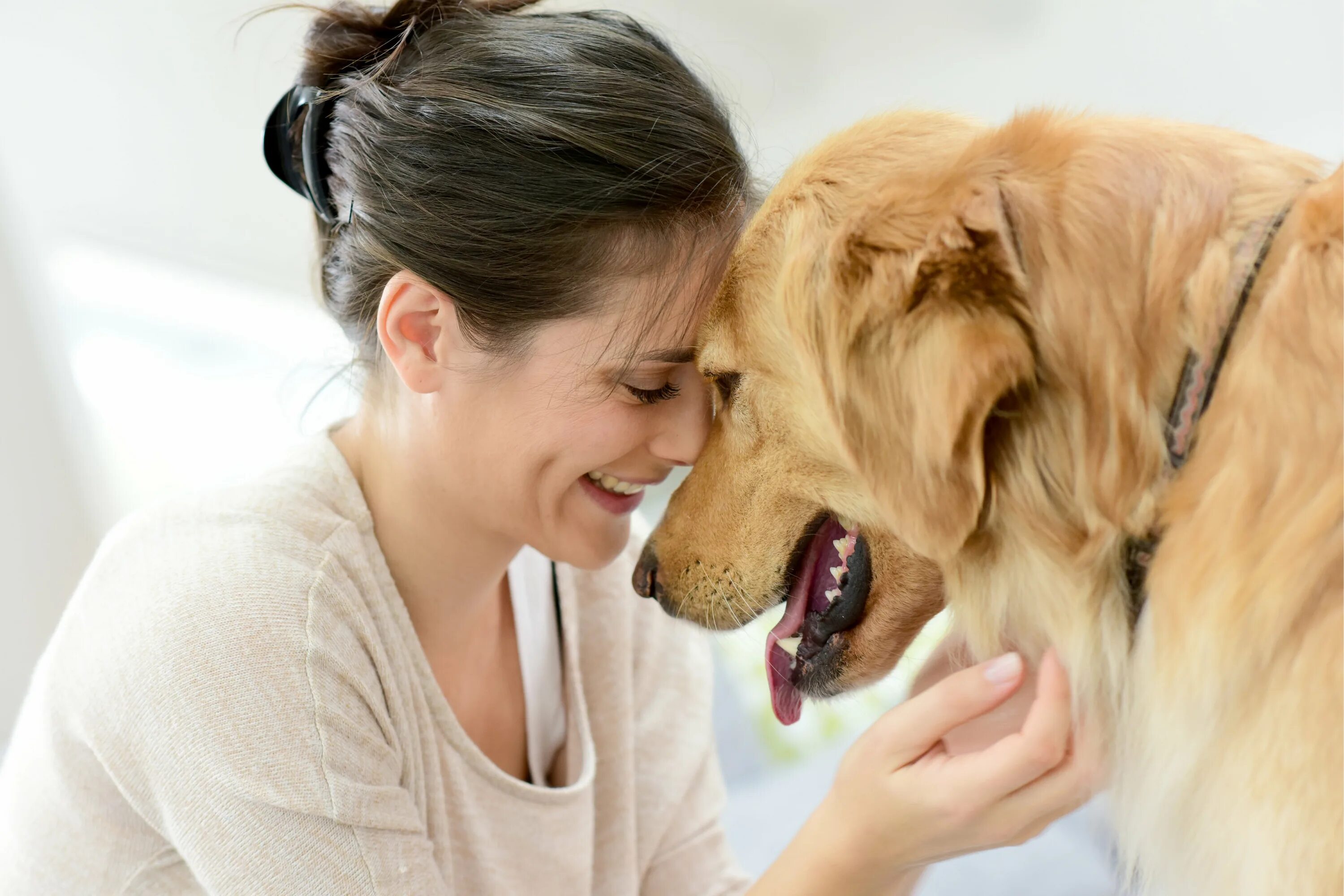 Your pet big. Женщина с собакой. Женщина обнимает собаку. Женщины живущие с собаками. Собаки любовь.