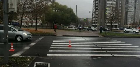 Сбитые на зебре