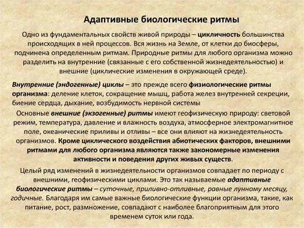Ритмы живых организмов