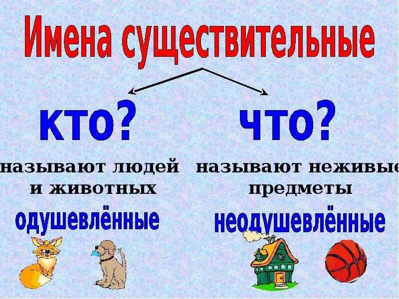 Неодушевленный предмет который никогда не врет