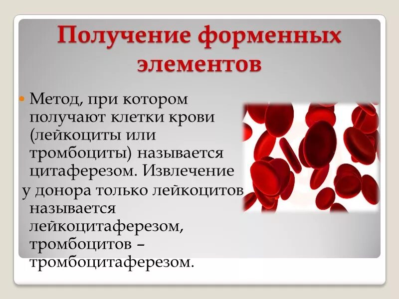 Есть ли слово кровь. Показатели тромбоцитов в крови донора. Сдать тромбоциты.