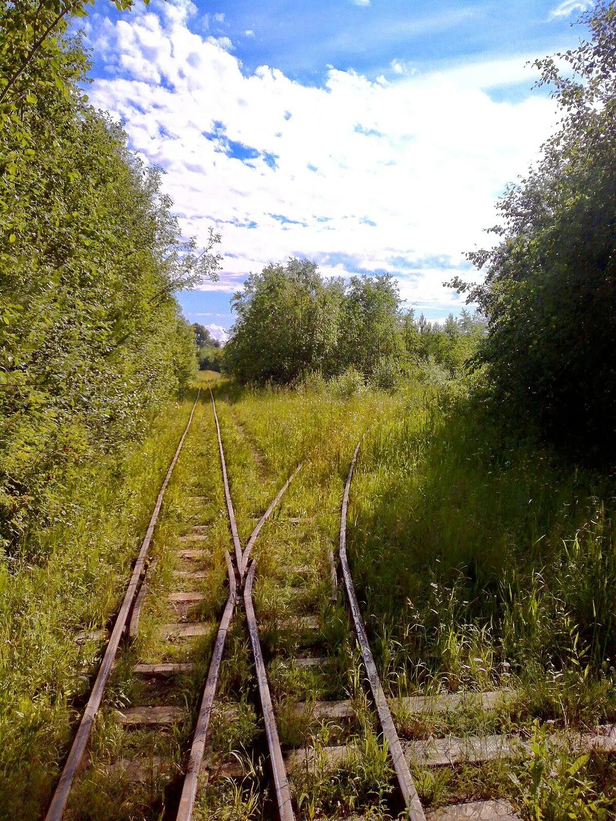 Поселок авнюгский архангельская область. Узкоколейка в архангельской области. Авнюгская узкоколейная железная дорога. Ужд в орехово зуево. Авнюгская узкоколейная железная дорога.