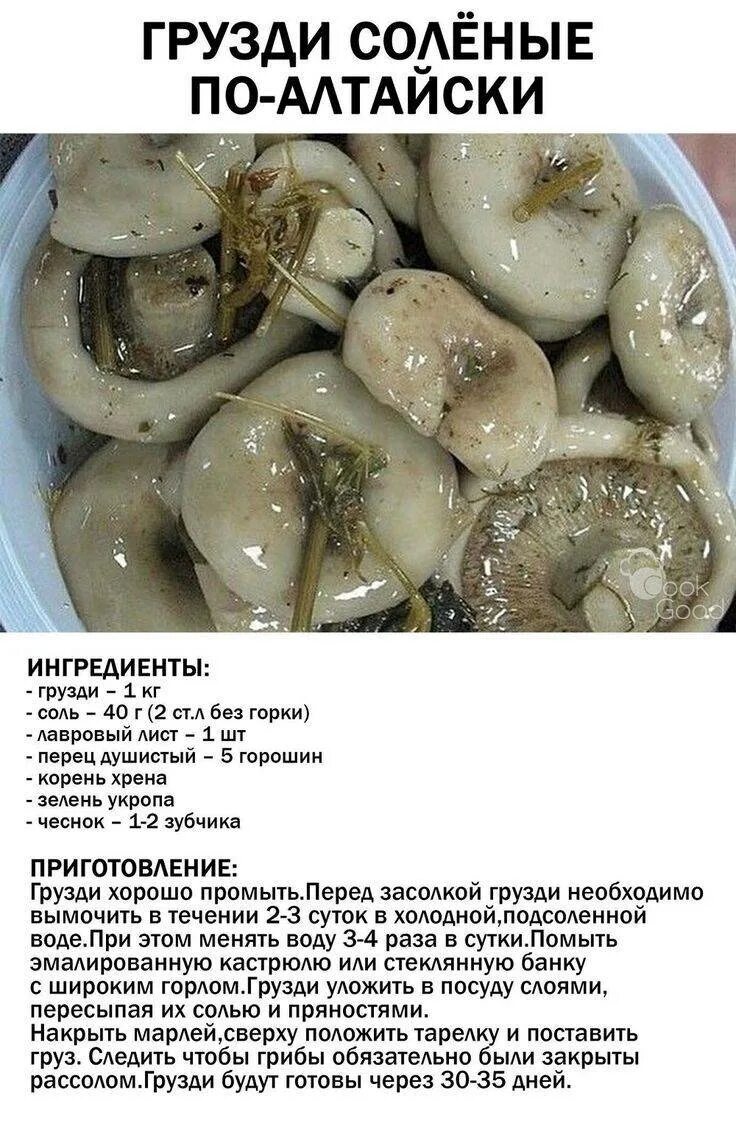 Маринованные грибы хрустящие на зиму. Грузди соленые. грузди солёные по алтайске. грибы грузди соленые.