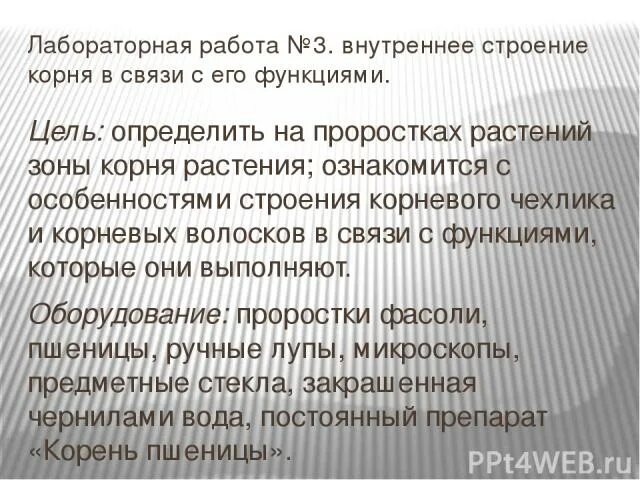 Лабораторная работа строение корня 6 класс. Лабораторная работа строение корня вывод. вывод по лабораторная работа строение корня проростка. лабораторная работа про зоны корня вывод. лабораторная работа №5. строение растений в связи с условиями жизни.
