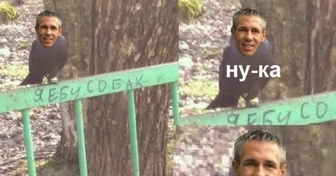 Ну ка сука