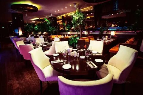 Levantine новинский бул 8