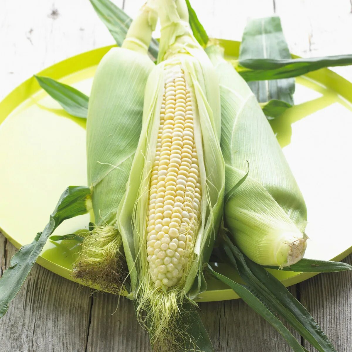 Кукуруза в початках кормовая. Crop yields. 6) бель початков кукурузы (кукурузная бель). Largest country in africa. Maize игра.