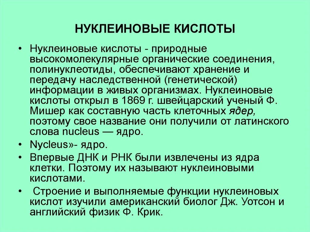 Нуклеиновые кислоты высокомолекулярные соединения. Полинуклеотиды. Свойства нуклеиновых кислот кратко. Нуклеиновые кислоты высокомолекулярные соединения. Нуклеиновые кислоты высокомолекулярные соединения.