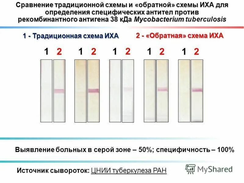 иммунохроматографический анализ. набор реагентов для иммунохроматографического выявления антигена. метод иммунохроматографии экспресс тест. иммунохроматографический метод выявления хеликобактер.