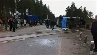 Приморск выборг 130
