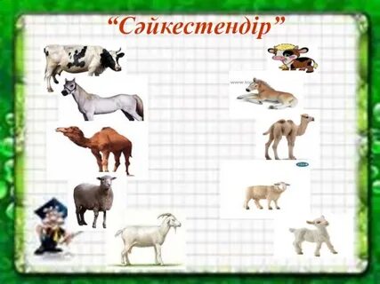 Төрт бес