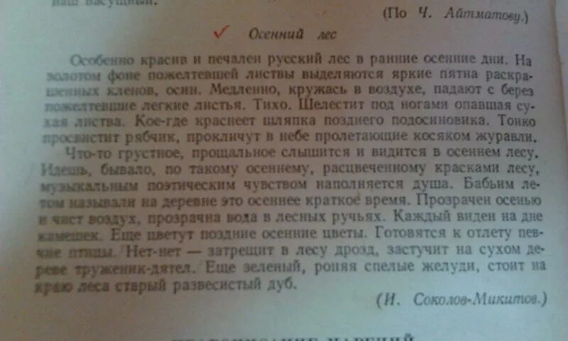 Диктант осень 3 класс ответ. Диктант русский лес. Красив и печален русский лес в ранние. Лес осенью диктант 7 класс. Диктант осень в лесу.