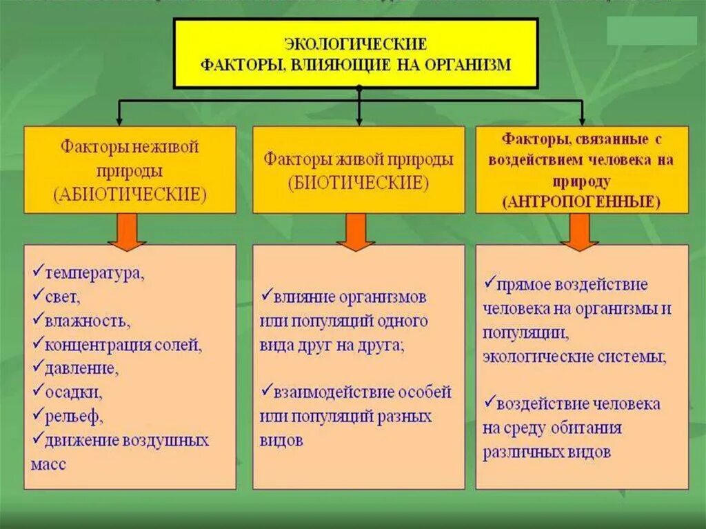 3 примера абиотических