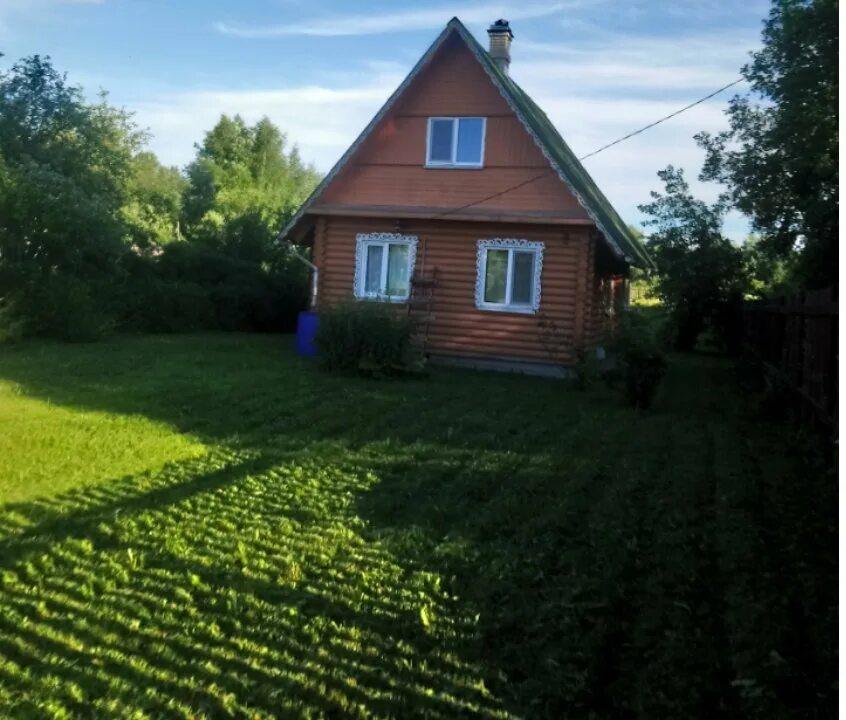 Циан луга