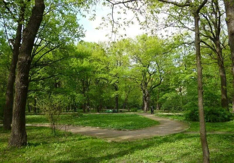 Рарк дубки в химках. Дубки подмосковье. Парки дубки сестрорецк. Пкио дубрава климовск. Дубки подмосковье.