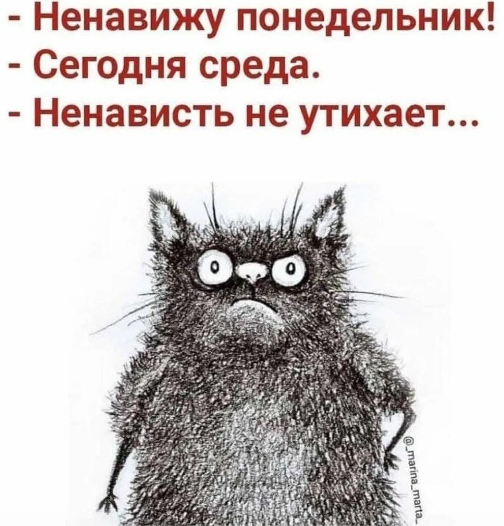Ненавижу понедельник сегодня. Ненависть. Ненавидеть весело. Ненавидеть весело. Бисид.