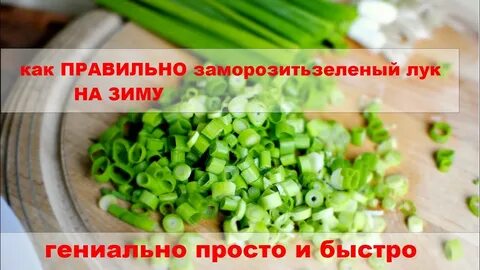 Зеленый лук свойства
