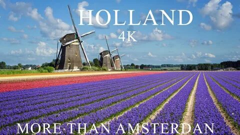 Holland 4