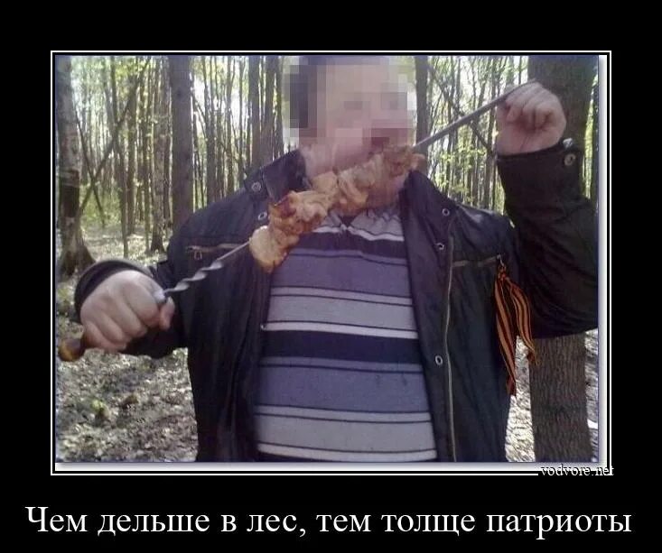 Чем дальше в лес тем толще партизаны. Чем дальше в лес тем толще партизаны