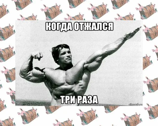 приколы с арнольдом шварценеггером. кто ты тварь шварценеггер. дамы и господа мем шварценеггер оригинал. ирис кайл рядом с арнольдом шварценеггером. Arnold schwarzenegger memes.