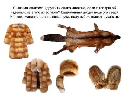 Выбери мех какого животного издавна считался самым