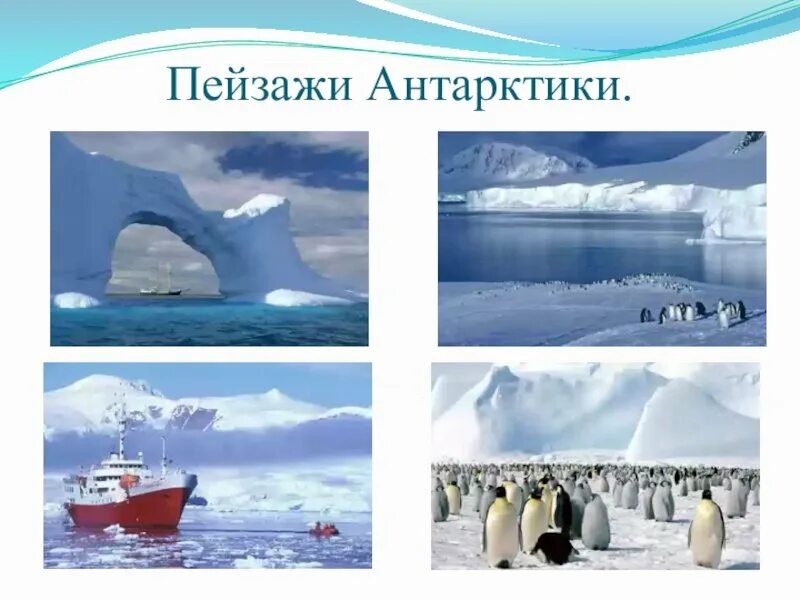 2 антарктическая. Антарктида. Арктика и Антарктида. Презентация Арктика и Антарктика. Антарктида презентация.