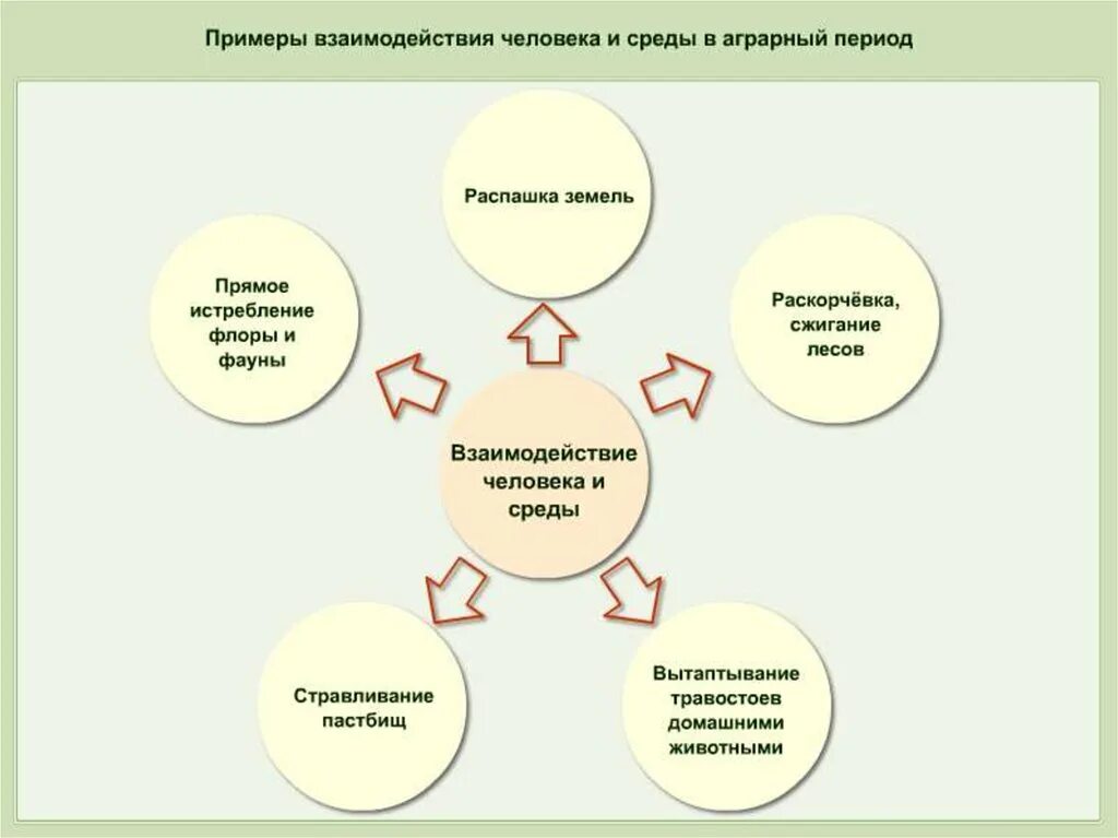 4 проблемы взаимодействия человека и природы. Примеры взаимодействия людей. Примеры взаимодействия человека и животных. Взаимосвязь человека и природы. Схема взаимодействия общества и природы.