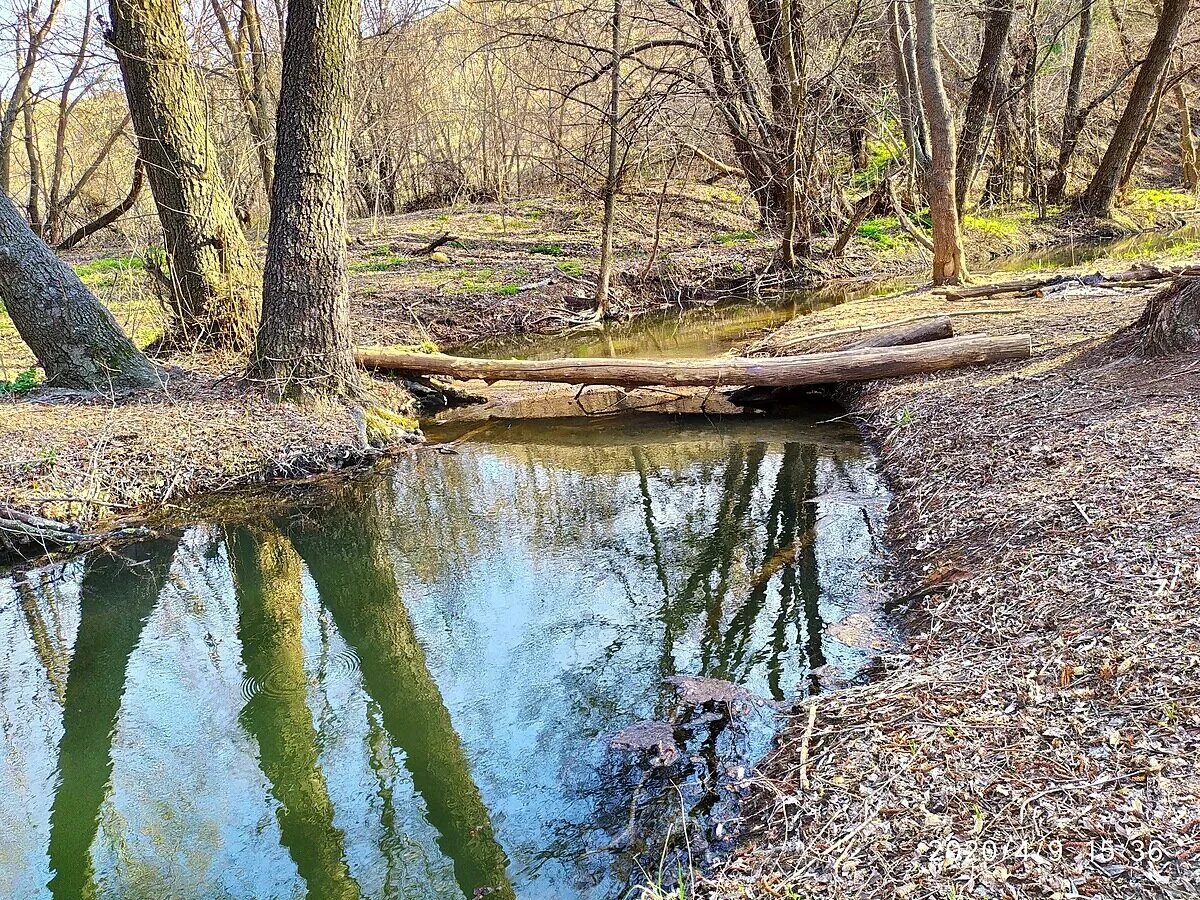 Река царицына. Река царица Царицын. Царицын Пойма реки царица. Река Царицыно Волгоград. Пойма реки Волгоград.