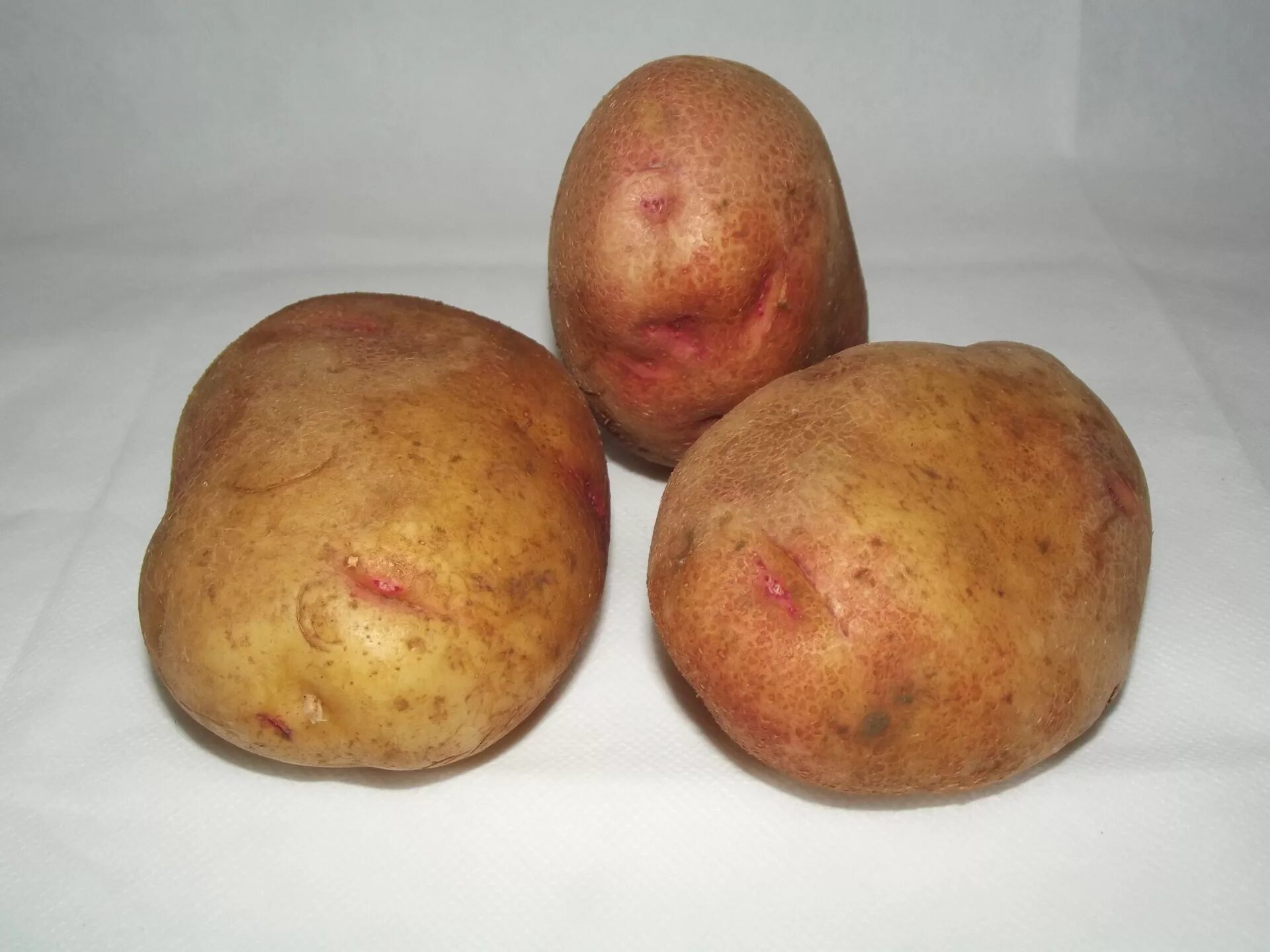 Продам картофель в Глазове