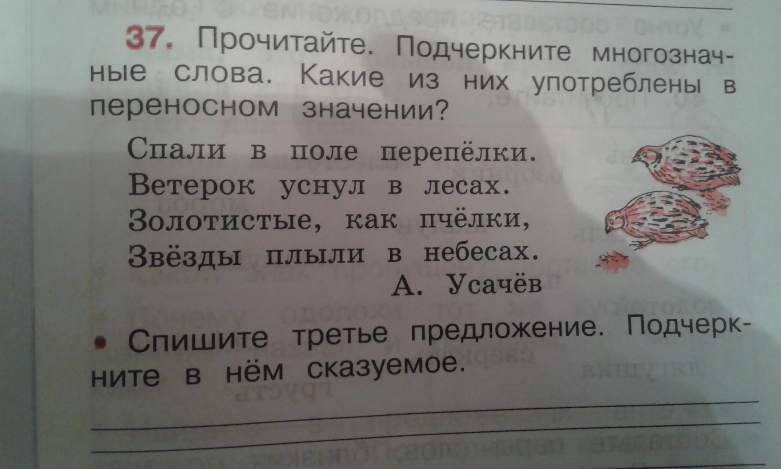 Подчеркните слова употребленные в переносном. Многозначные слова спали в поле перепелки. Подчеркните многозначные слова спали в поле перепелки. Подчеркните многозначные слова спали в поле. Многозначные слова в предложениях спали в поле перепёлки.