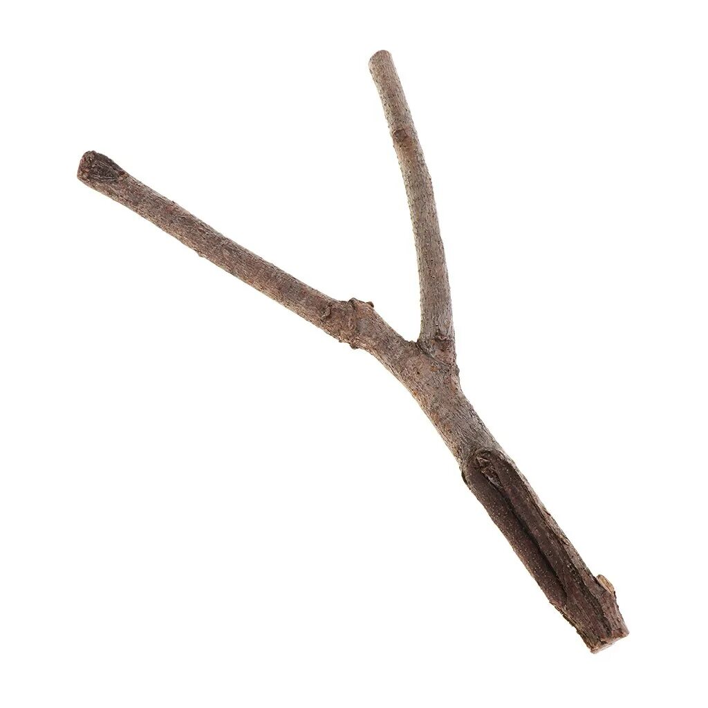 Палка. Деревянная палочка веточка. Палочка веточка. Палка деревянная от дерева. Палка деревянная от дерева.