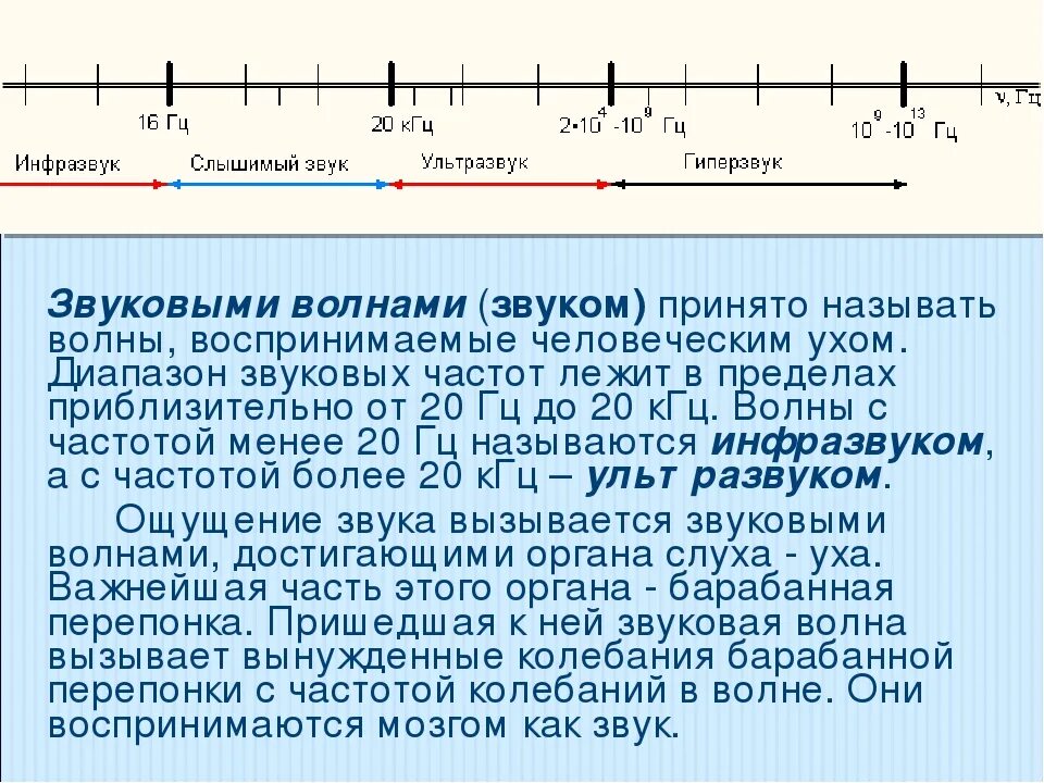 Звуковые волны таблица. Частотный диапазон звуковых волн. Частота звуковой волны. Диапазон звуковых волн в физике. Звук частотой 20 кгц