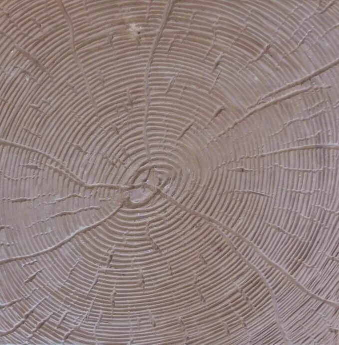 плитка срез. тротуарная плитка спил дерева. плитка под спил дерева. тротуарная плитка сосновый спил. плитка тротуарная "пенек", d-300 красный.