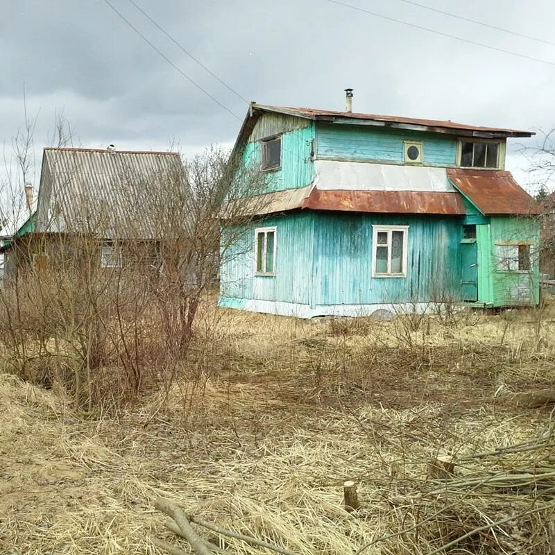 Лужский район , деревня большая Дивинка. Садоводство Дивенская Лужский район. Массив Дивенская Лужский район. Дивенская СНТ Дружба. Погода в дивенской ленинградской области на неделю