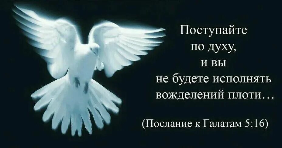 Дух божий в библии. Поступайте по духу и вы не будете исполнять вожделений плоти. дух святой в сердце. любовь божья излилась в сердце наше. поступайте по духу и вы.