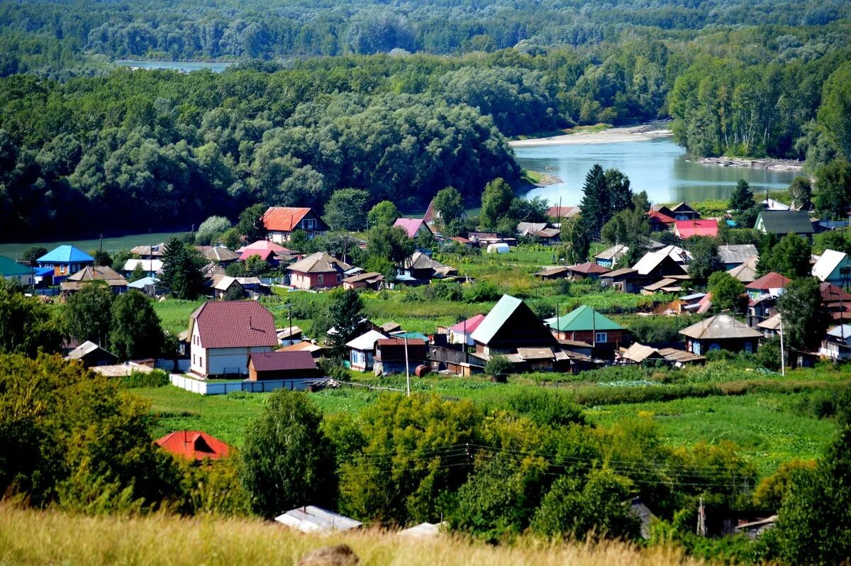 Псковская область алтайский край. Алтайский край деревня Сростки Родина Шукшина. Деревня Шукшина село Сростки. Деревня Сростки Шукшин. Село Сростки Алтайский край Шукшин.