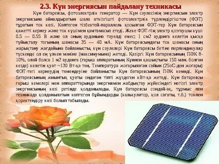 Эшектегі ит стилінің фотосуреттерін қараңыз