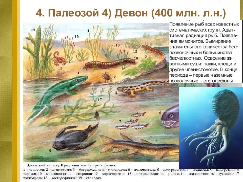 Развитие жизни сегодня. Палеозой Эра Девон. Эра палеозой период Девон. Девонский период палеозойской эры. Карбон период палеозойской эры.