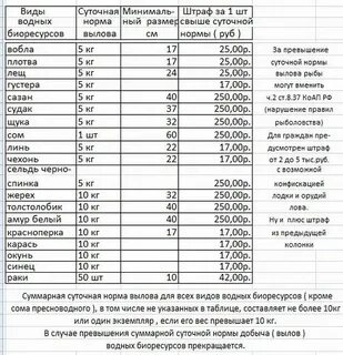 Штрафы за рыбу в 2024 году