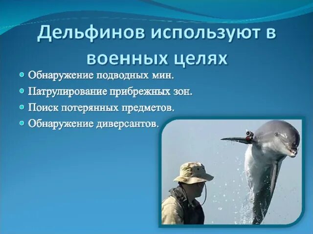 Легенда поведала о дельфине как понять выражение. Проект на тему дельфин. работа с дельфинами. доклад 3 класс на тему люди и дельфины. как ты понимаешь выражение легенда поведала о дельфине.