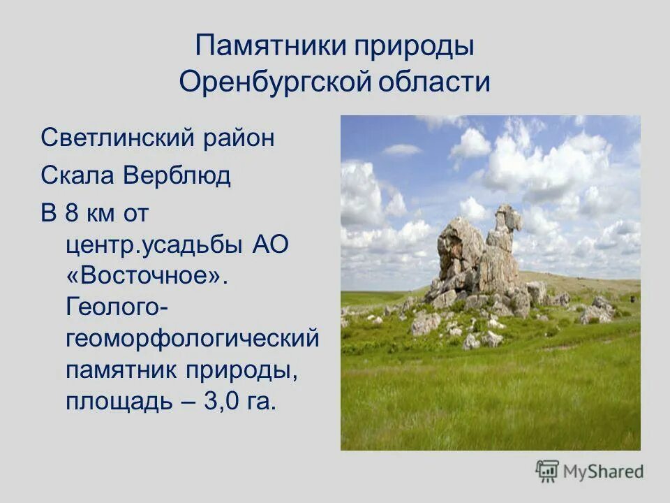 Памятники природы коми республики столбы выветривания. Природные памятники культуры оренбургской области. Столбы выветривания интересные факты. Природные памятники оренбургской области презентация. Сообщение о природном памятнике.
