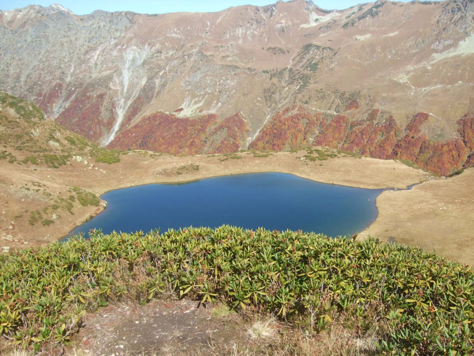 озеро 7 ответ. 7 озёр таджикистан. озеро мзы в абхазии. озеро дзитаку сочи. озеро малое дзитаку.