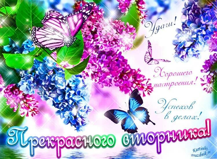 С весенним утром вторника. Хорошего вторника отличного настроения. Хорошего мартовского дня и отличного настроения. Добрые пожелания с бабочками.