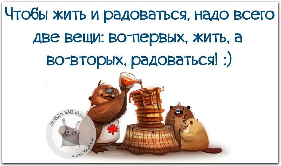 Как жизнь все хорошо живу. Чтобы жить и радоваться нужно. Надо жить хорошо картинки. Жизнь хороша и жить хроро. Жить лучше.