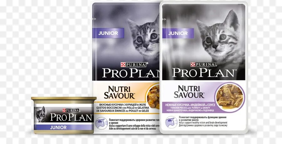 Влажный корм проплан для собак. Purina Pro Plan корм Purina Pro Plan. Пауч Purina Pro Plan. Purina Pro Plan Kitten. Purina Pro Plan Kitten 10 kg.