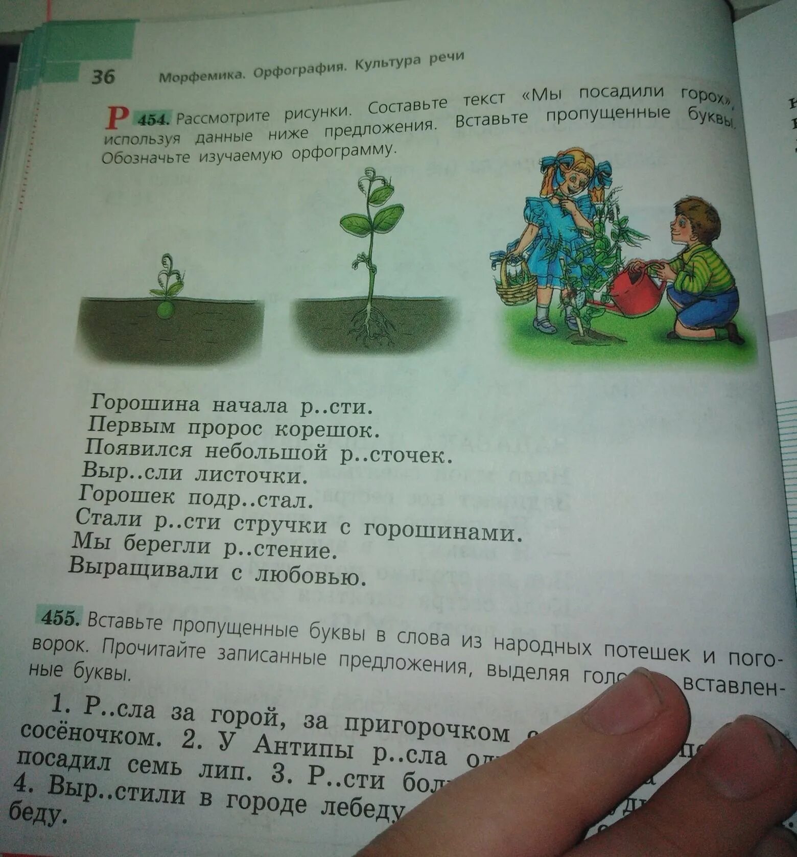 Горошина начала расти появился крохотный росток. Составить текст мы посадили горох используя данные ниже предложения. Рассмотри рисунки.Составь предложения. Составьте текст мы посадили горох. Рассмотрите рисунки составьте текст мы посадили горошину.