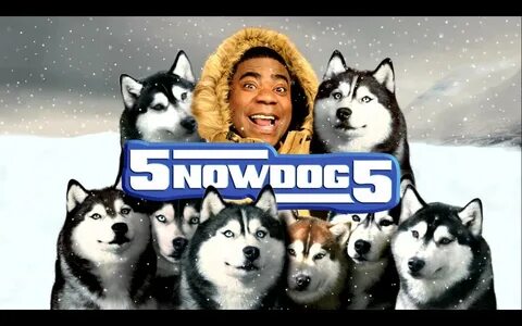 Is five dogs