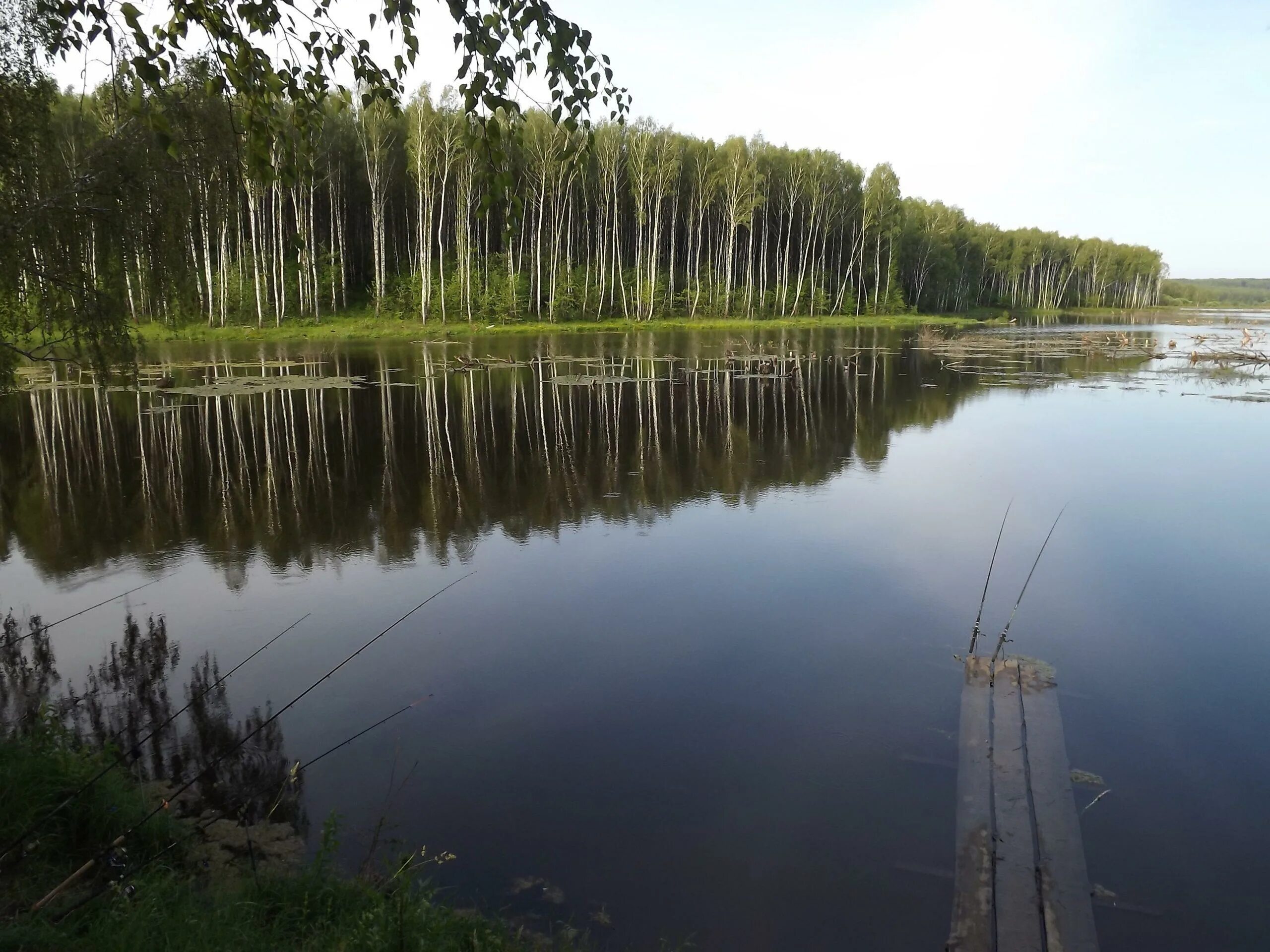 Рыбы орловской области. Лубна пруд Орловская. Река Лубна Орловская область. Кузнецовский пруд в Орловской области. Озеро Лубна.