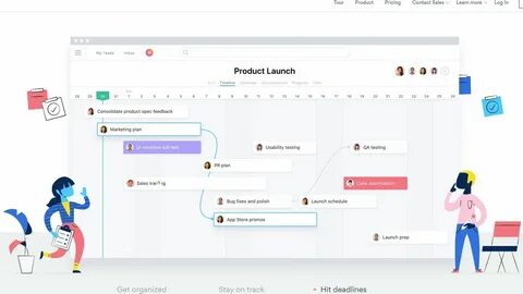 Таск asana